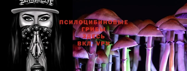 прущие крисы Строитель