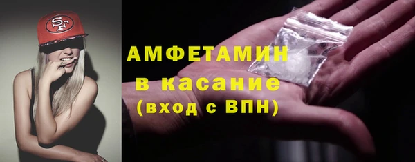 спиды Тайга