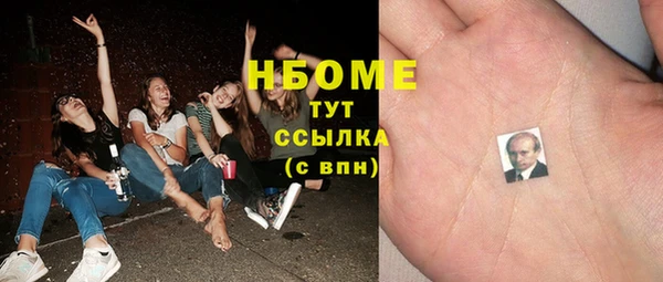 сатива Сясьстрой