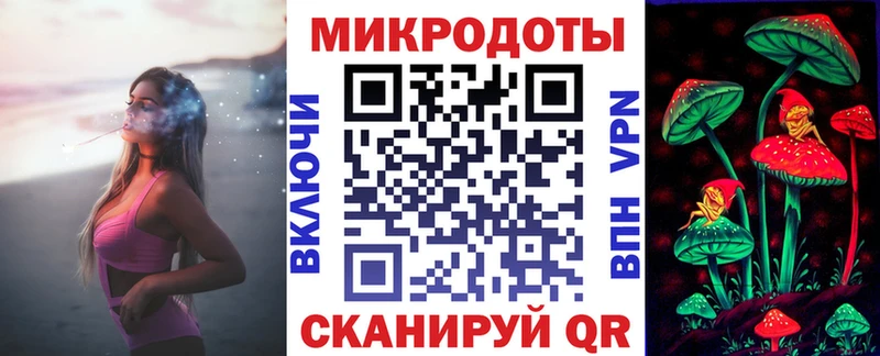 Купить Шилка Галлюциногенные грибы мицелий